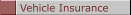 Vehicle Insurance